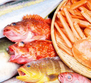 富山きときと便 極上