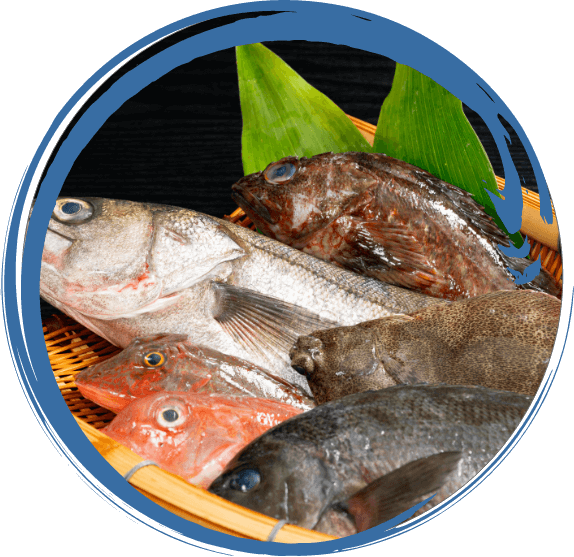 お試し鮮魚セット