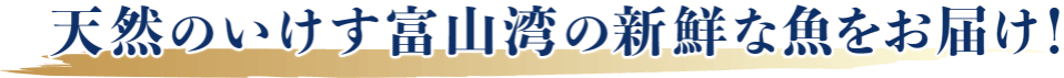 天然のいけす冨山湾の新鮮な魚をお届け
