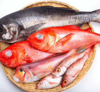 富山きときと便 M