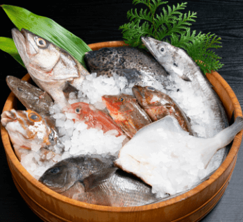 富山きときと便 L