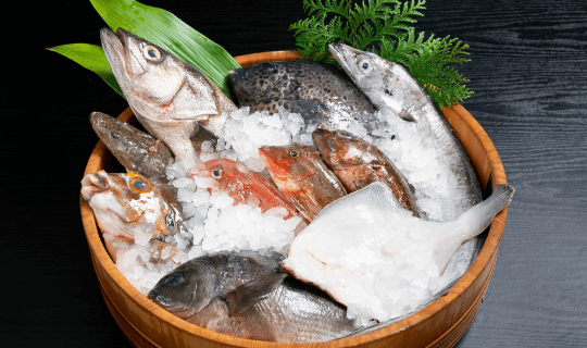 富山きときと定期便