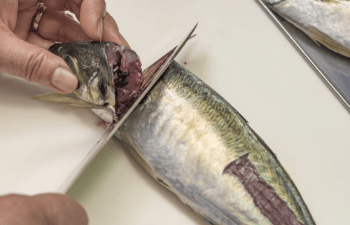 うろこ・内臓処理